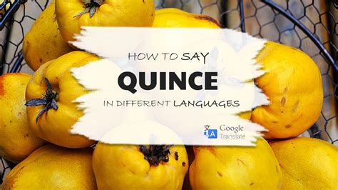 How to Say Quince (Fruit) in American English .